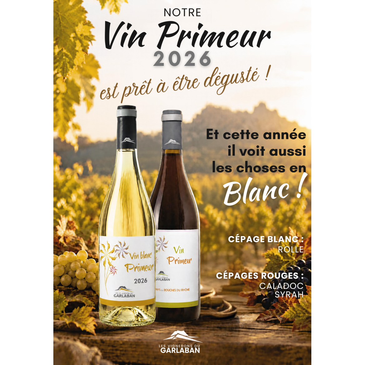Notre Primeur est prêt à être dégusté !