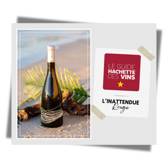 Sélectionné dans le Guide Hachette des Vins !